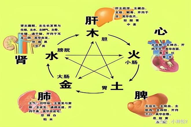 ҽɭΪθøСЧ(ͼ2)